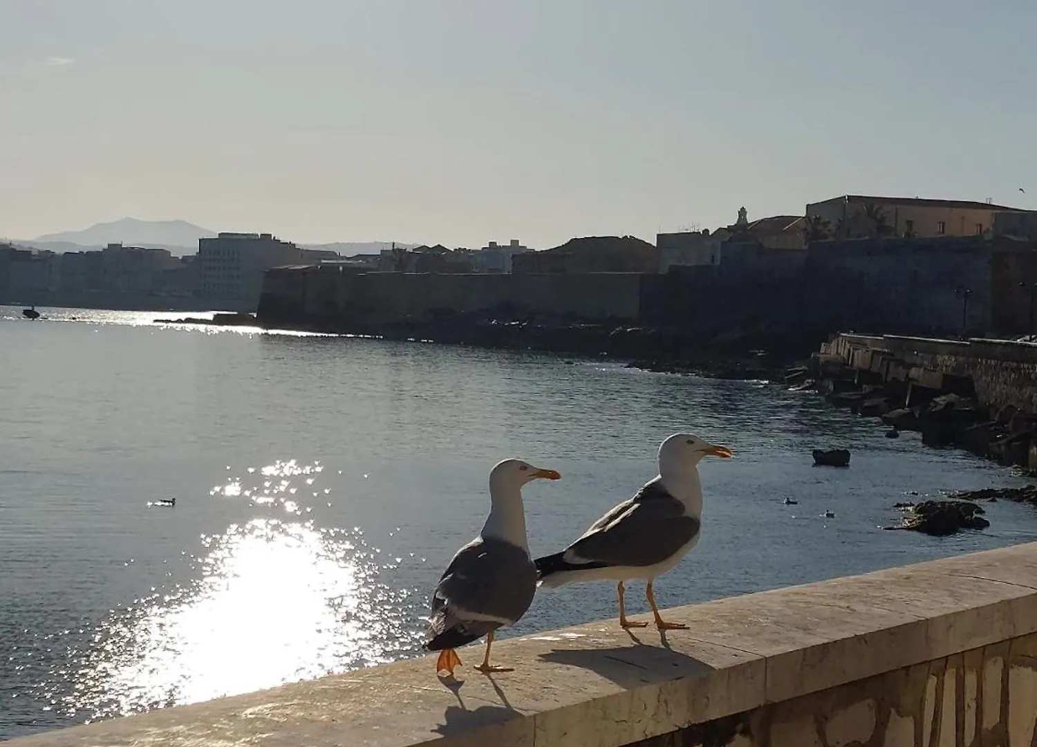 Sale E Luce Apartment Trapani 0*,  Italy